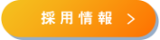 詳細を見る